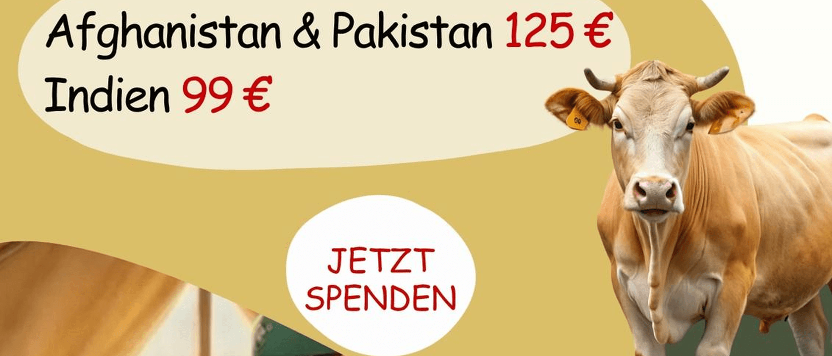 Kurban Kampagne 2024